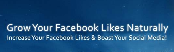 grow your USA Facebook likes fast